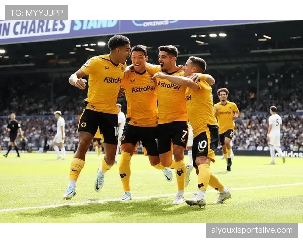 “门线悬案”再现！诺丁汉森林对阵狼队一役，皮球整体是否过线引VAR长时间审核